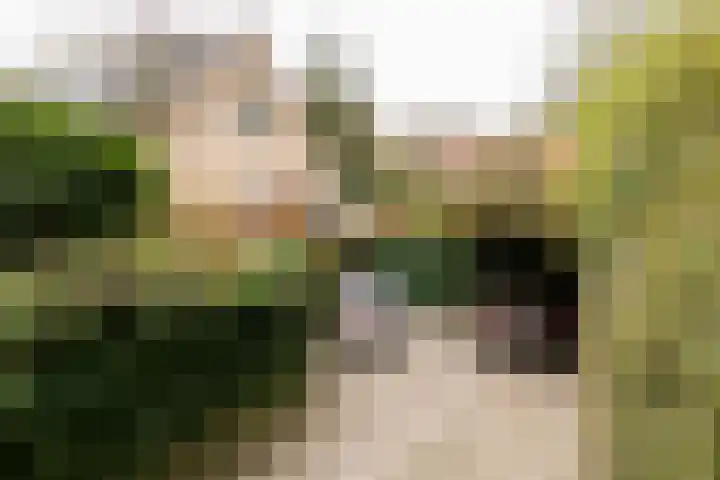 Rozenbos 3 a Rheden thumbnail 4