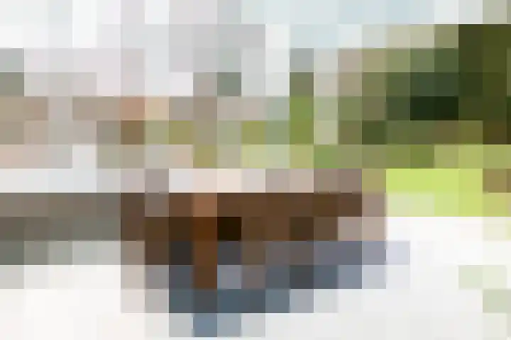 Rozenbos 3 a Rheden thumbnail 7