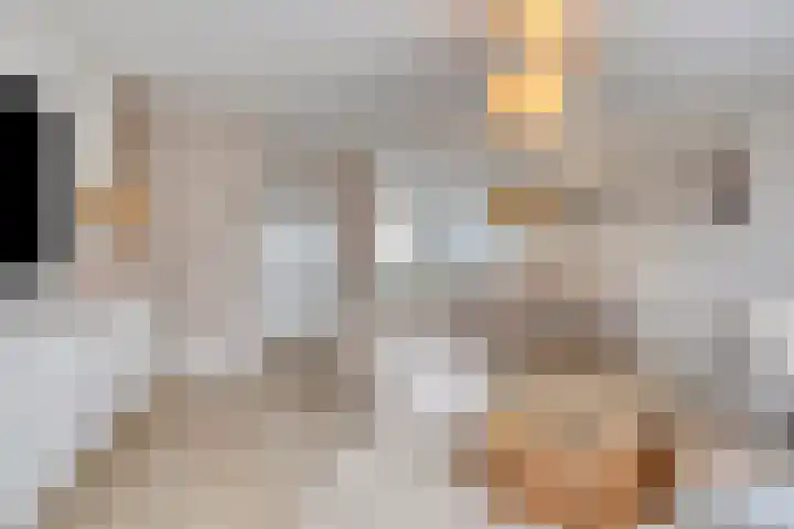 Rozenbottel 20 Borne thumbnail 12