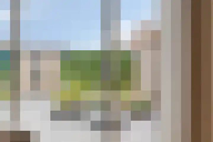 Rozenbottel 20 Borne thumbnail 16