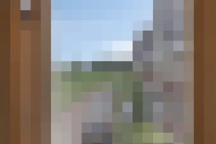 Rozenbottel 20 Borne thumbnail 22