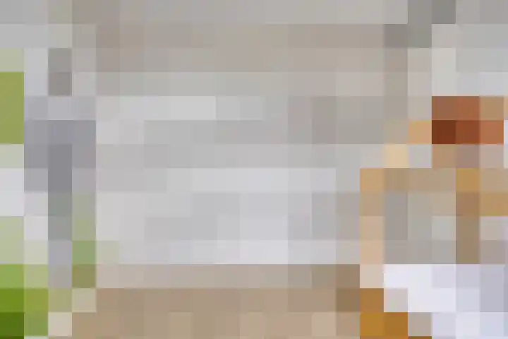 Rozenbottel 20 Borne thumbnail 24