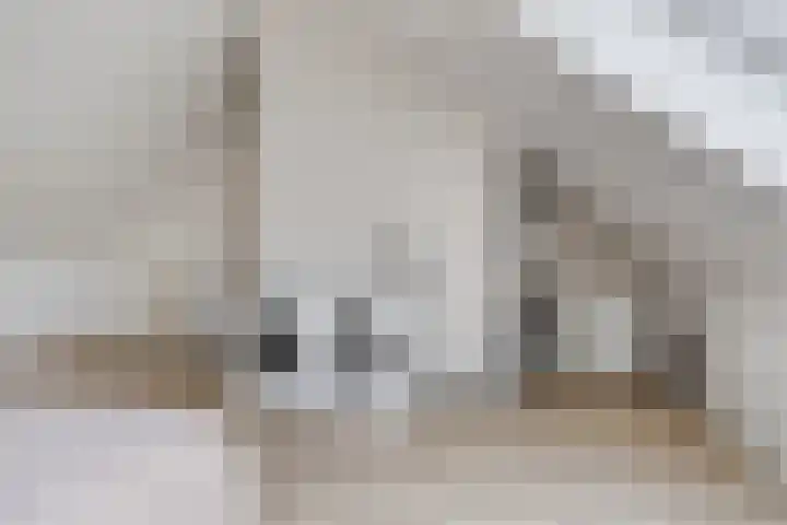 Rozenbottel 20 Borne thumbnail 30