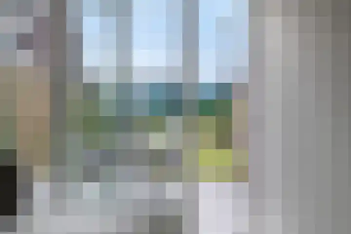 Rozenbottel 20 Borne thumbnail 34