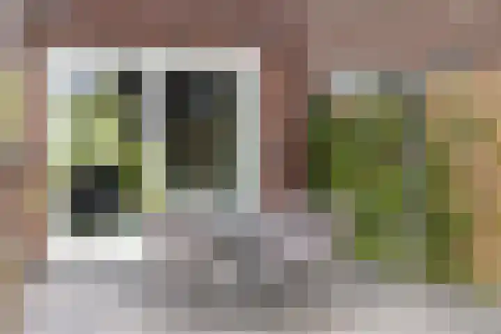 Rozenbottel 20 Borne thumbnail 35