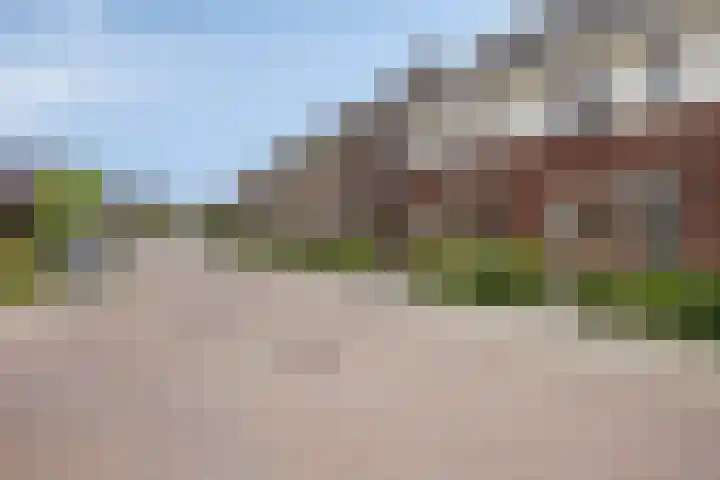 Rozenbottel 20 Borne thumbnail 36