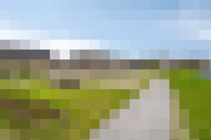 Rozenbottel 20 Borne thumbnail 38