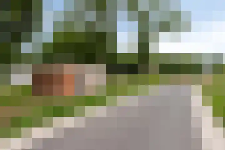 Rozenbottel 20 Borne thumbnail 41