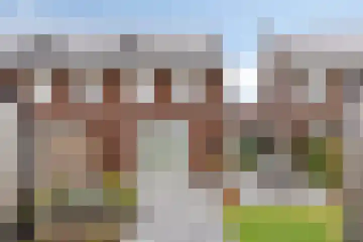 Rozenbottel 20 Borne thumbnail 7