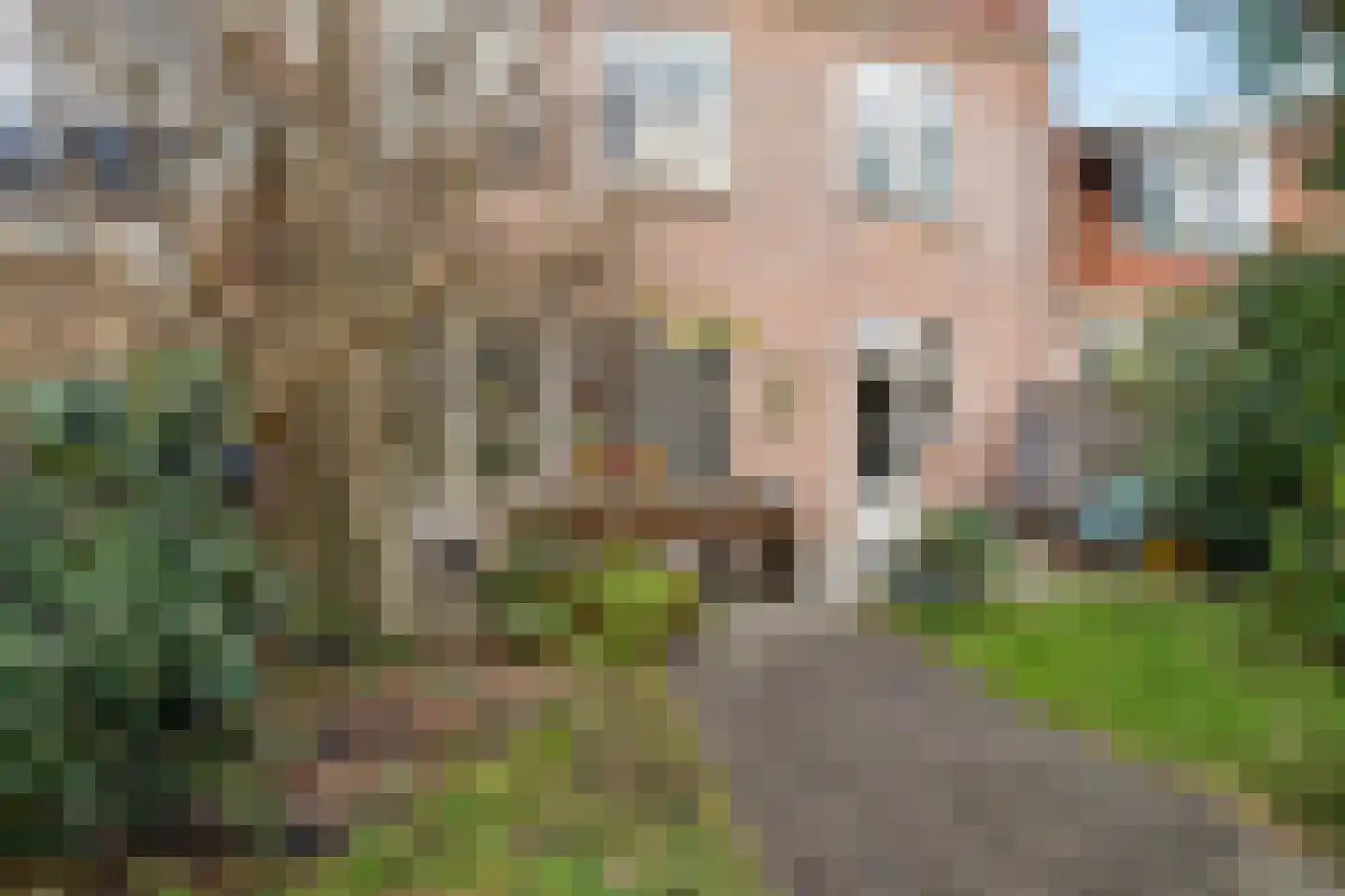 Rozendaal 10 Monnickendam thumbnail 32