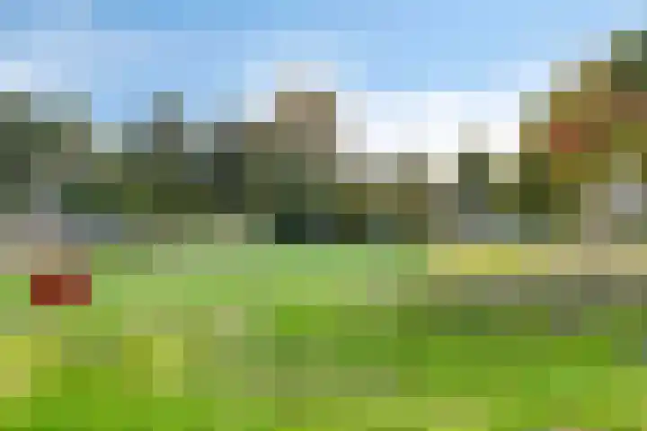 Rozendael 55 Oosterwolde thumbnail 48