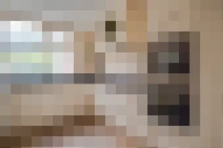 Rozendreef 20 Bleiswijk thumbnail 11