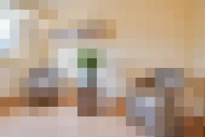 Rozendreef 20 Bleiswijk thumbnail 18