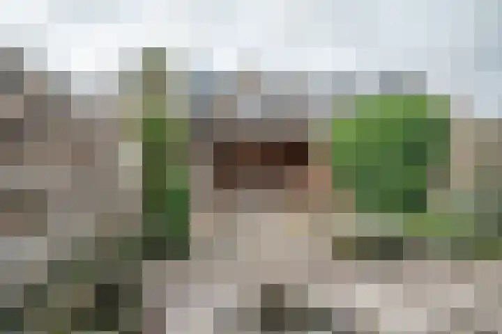 Rozendreef 20 Bleiswijk thumbnail 24