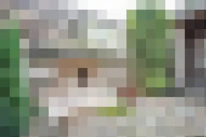 Rozendreef 20 Bleiswijk thumbnail 25