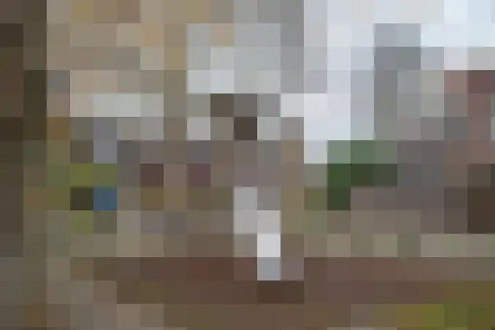 Rozendreef 20 Bleiswijk thumbnail 33