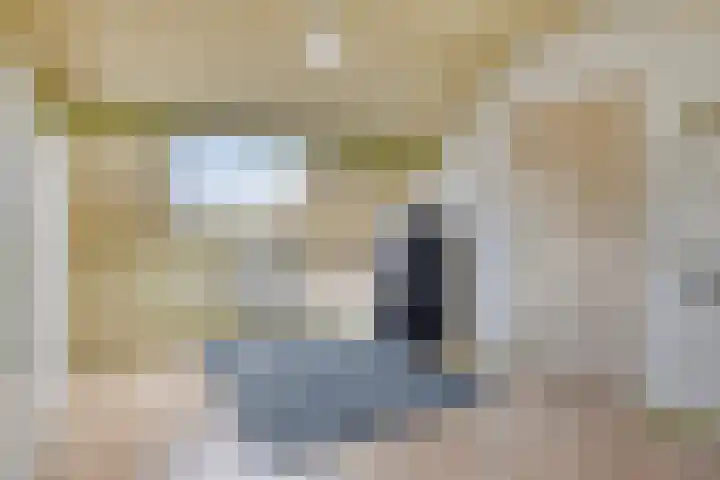Rozengaard 60 Boxtel thumbnail 34