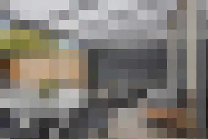 Rozengaard 60 Boxtel thumbnail 6