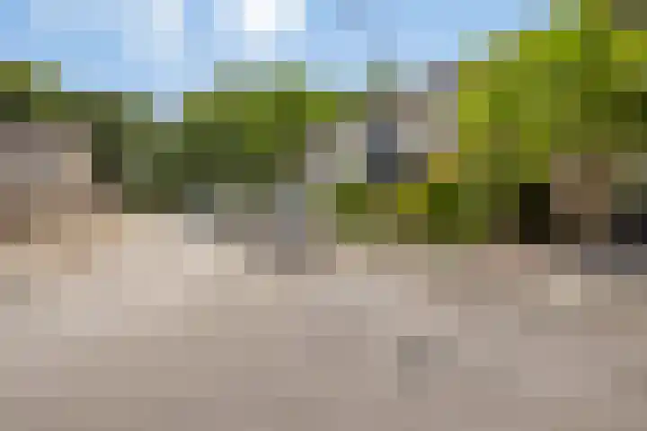 Rozengaard 60 Boxtel thumbnail 7