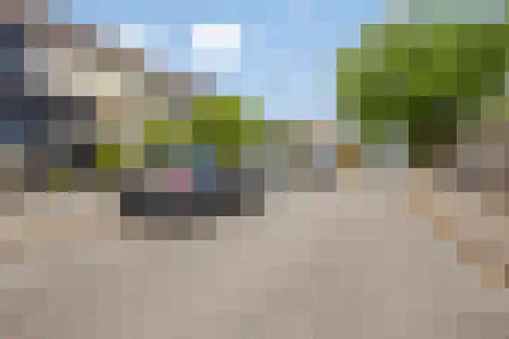 Rozengaard 60 Boxtel thumbnail 8