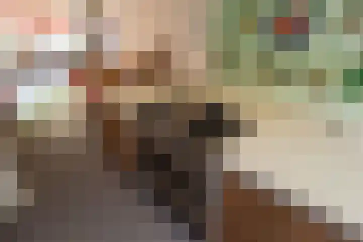 Rozengaarde 8 Rijssen thumbnail 20