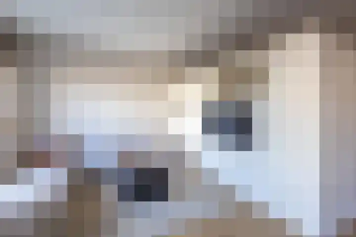 Rozengaarde 87 Rijssen thumbnail 14