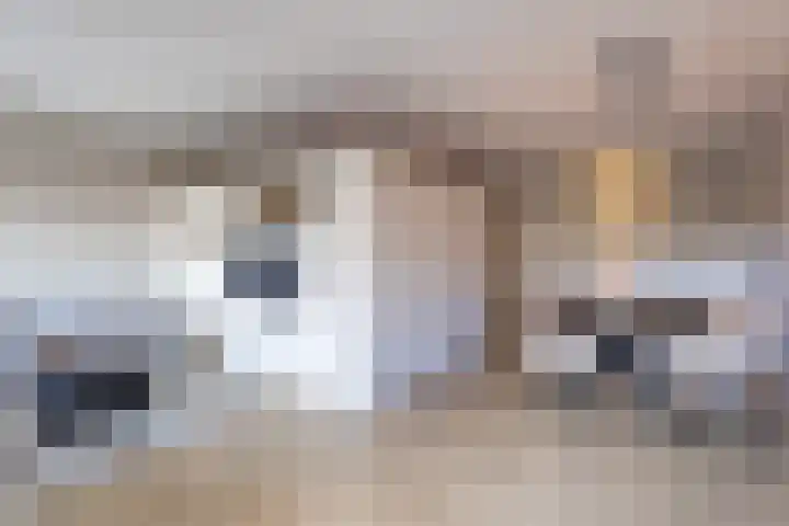 Rozengaarde 87 Rijssen thumbnail 16