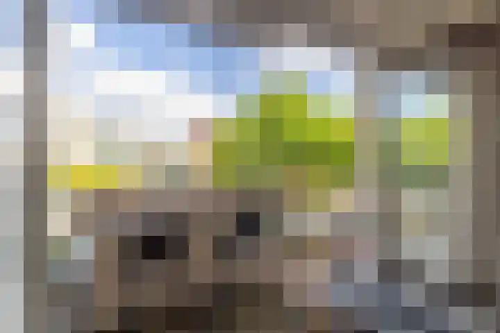 Rozengaarde 87 Rijssen thumbnail 29