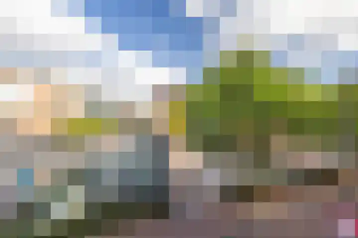 Rozengaarde 87 Rijssen thumbnail 31