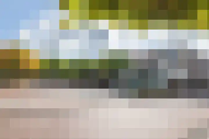 Rozengaarde 87 Rijssen thumbnail 4