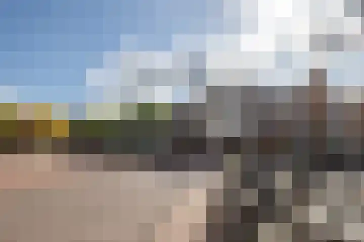 Rozengaarde 87 Rijssen thumbnail 6