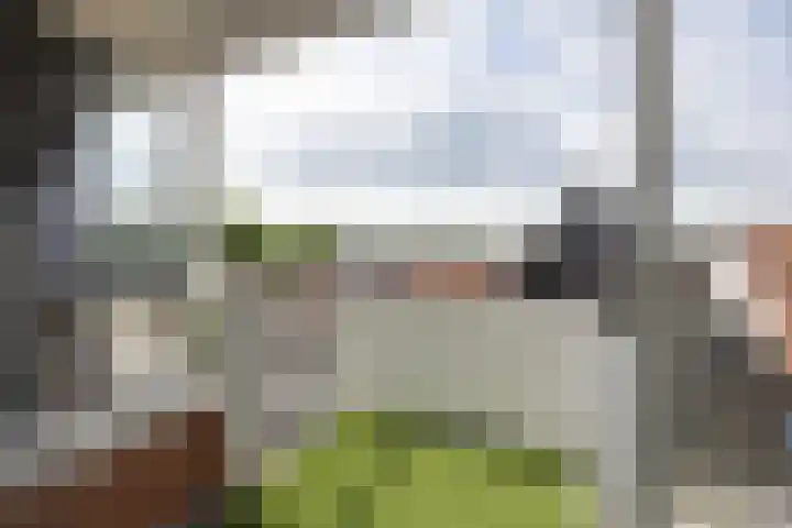 Rozengaarde 95 Rijssen thumbnail 24