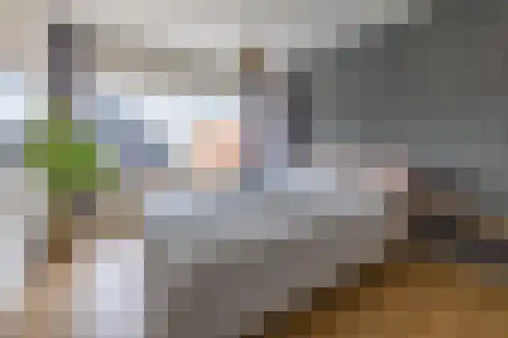 Rozengaarde 95 Rijssen thumbnail 26