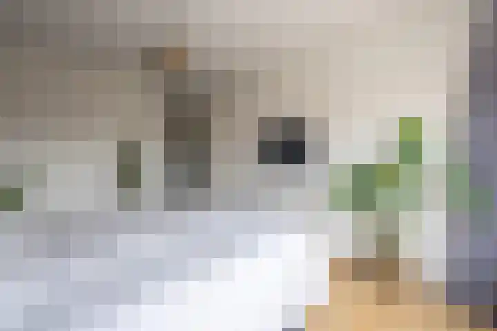 Rozengaarde 95 Rijssen thumbnail 28
