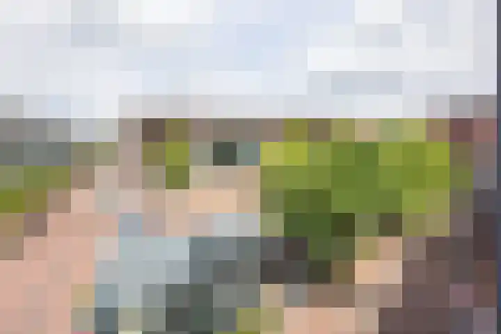 Rozengaarde 95 Rijssen thumbnail 46
