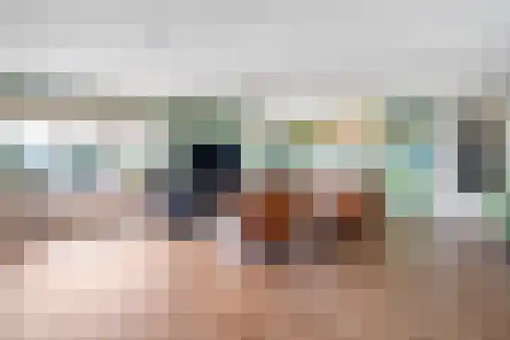 Rozenheim 2 A401 Dedemsvaart thumbnail 17
