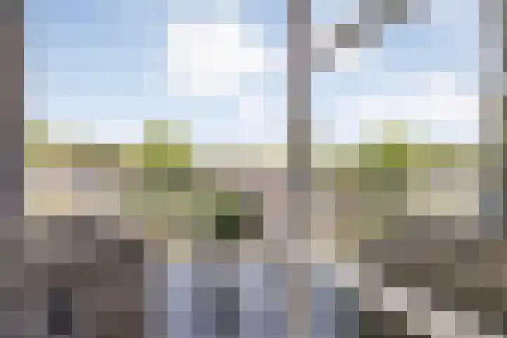 Rozenheim 2 A401 Dedemsvaart thumbnail 33