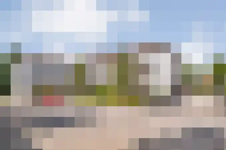 Rozenheim 2 A401 Dedemsvaart thumbnail 4