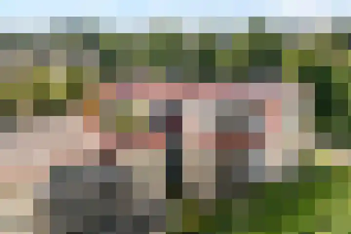Rozenheim 2 A401 Dedemsvaart thumbnail 44