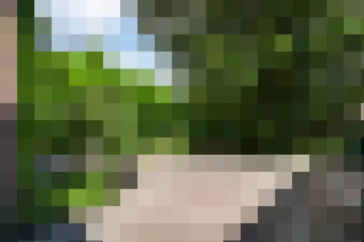 Rozenhof 1 Heythuysen thumbnail 28