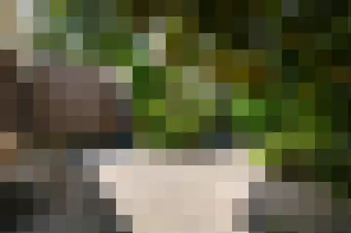 Rozenhof 1 Heythuysen thumbnail 29