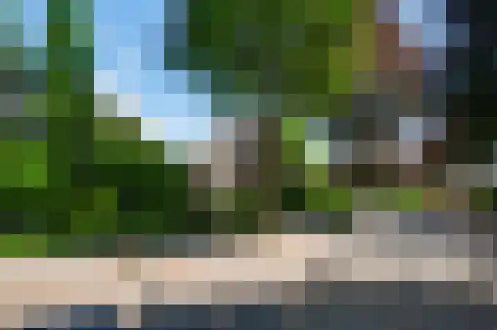 Rozenhof 1 Heythuysen thumbnail 33