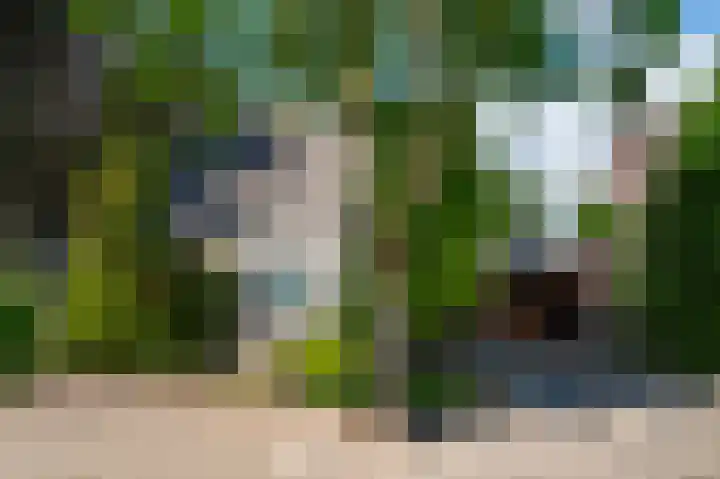 Rozenhof 1 Heythuysen thumbnail 36