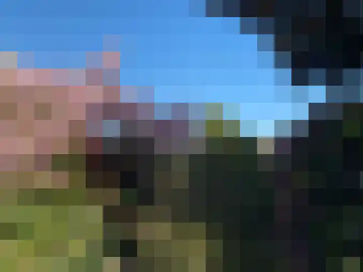 Rozenhof 1 Heythuysen thumbnail 45