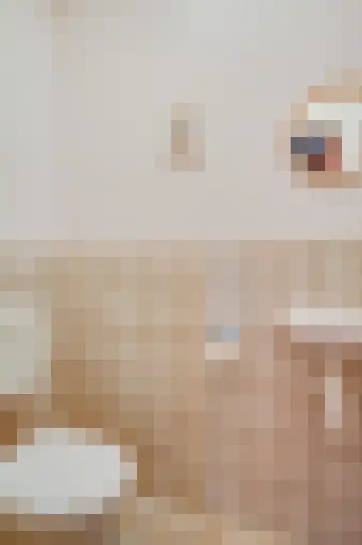 Rozenhof 1 Heythuysen thumbnail 7