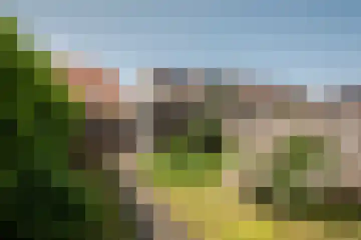 Rozenhof 102 Borne thumbnail 20