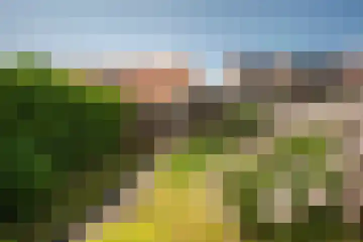 Rozenhof 102 Borne thumbnail 21