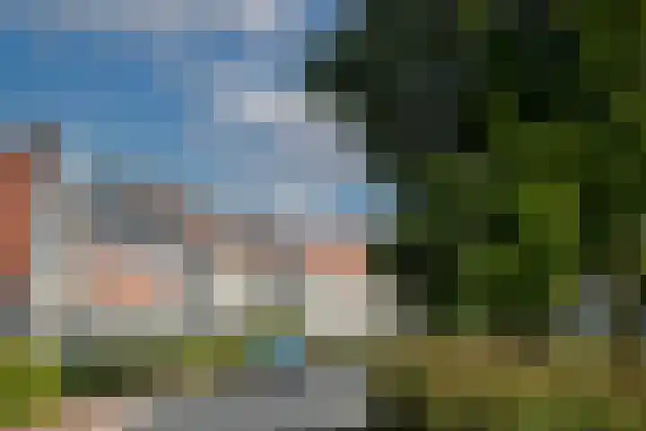 Rozenhof 102 Borne thumbnail 23