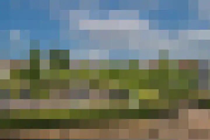 Rozenhof 102 Borne thumbnail 24