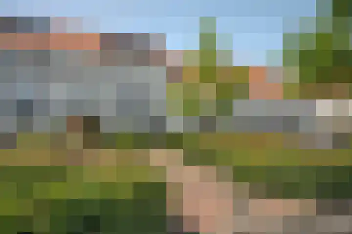 Rozenhof 102 Borne thumbnail 25